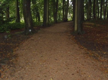 activiteiten_copromengpuin01.jpeg