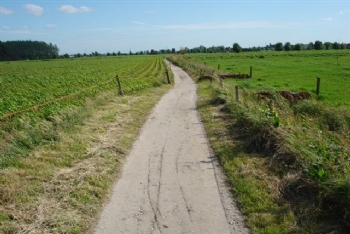activiteiten_copro_betonpuin08.jpeg