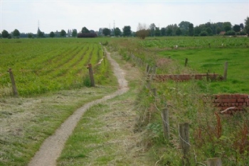 activiteiten_copro_betonpuin02.jpeg