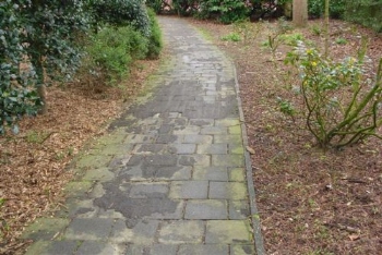 activiteiten_betondal_01.jpeg
