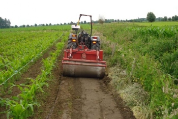 activiteiten_copro_betonpuin04.jpeg