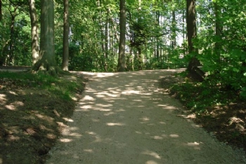 activiteiten_copromengpuin13.jpeg