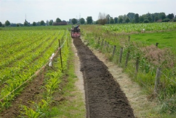 activiteiten_copro_betonpuin03.jpeg